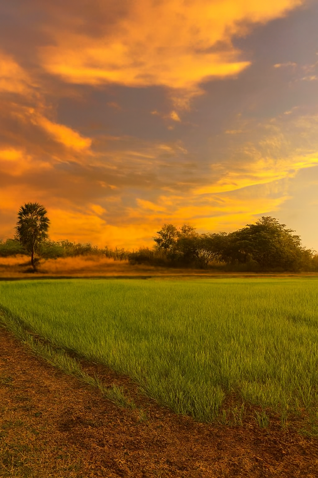 a high-resolution im