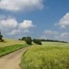 LAND FOR SALE IN NAKHATRANA