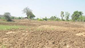 Agriculture Land For Sale in Gujrat