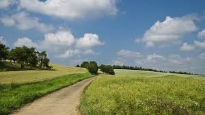 Agricultural Land for sale in Mohadi Abdasa