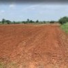 Agriculture Land for Sale in Mohadi Abdasa