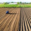 Agricultural Land for sale in Mohadi Abdasa