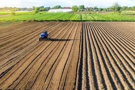 Agricultural Land for sale in Mohadi Abdasa