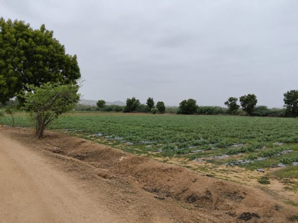Agriculture Land For Sale in Kukma