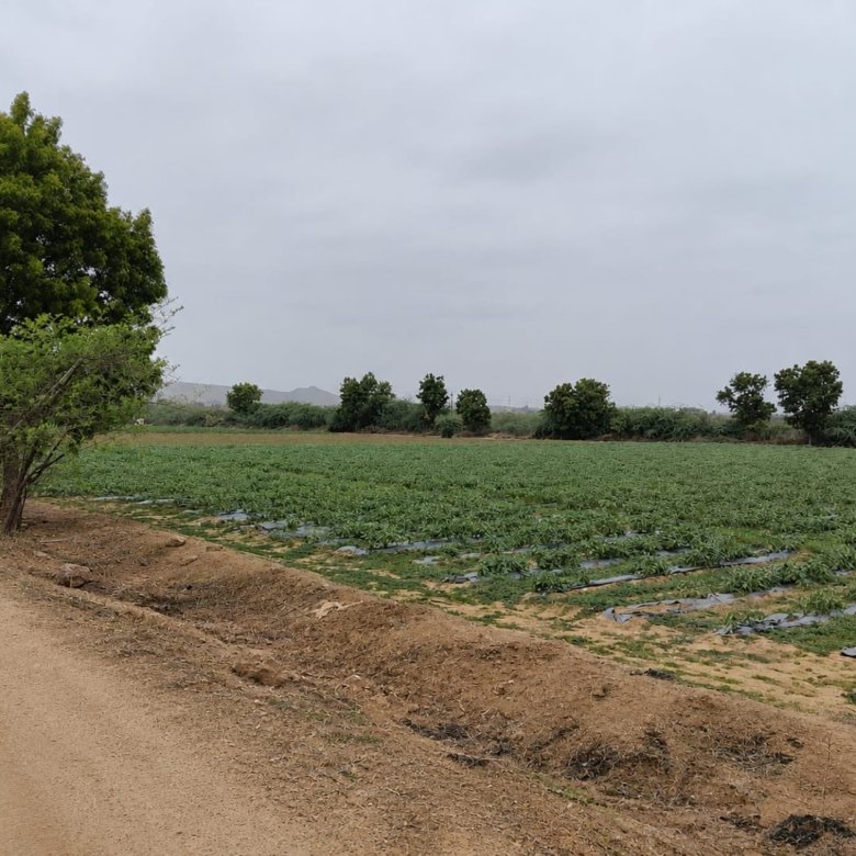 Agriculture Land For Sale in Kukma