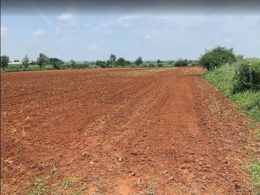Agriculture Land for Sale in Jakhau