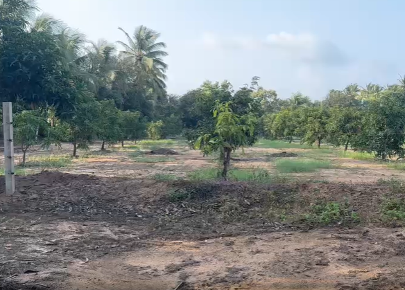 Agriculture Land for sale in Gadhshisha