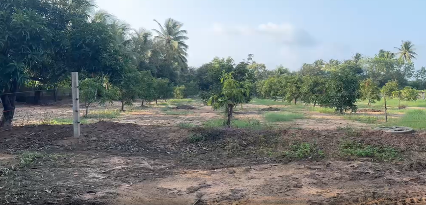 Agriculture Land for sale in Gadhshisha