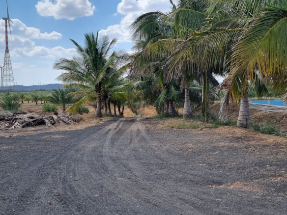 Agriculture Land for sale in Samatra
