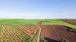 Agriculture Land for Sale in Bhachau