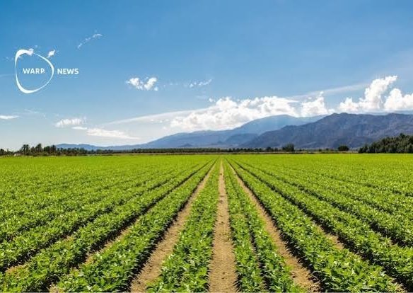 Agriculture Land for Sale in Mundra