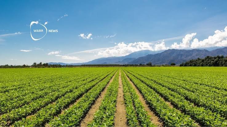 Agriculture Land for Sale in Mundra