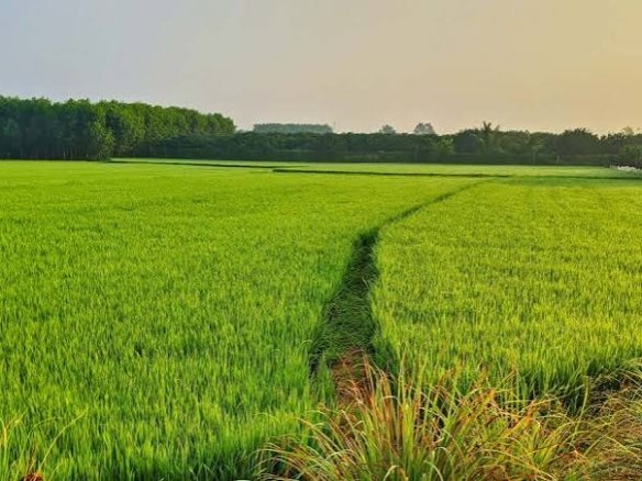 Agriculture Land for Sale in Bhuj City