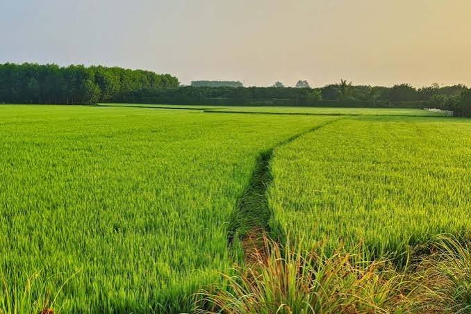 Agriculture Land for Sale in Bhuj City