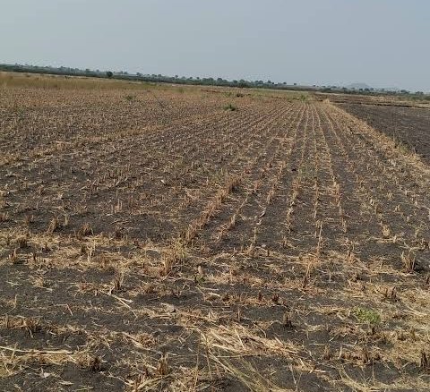Agriculture Land for Sale in Samatra Bhuj