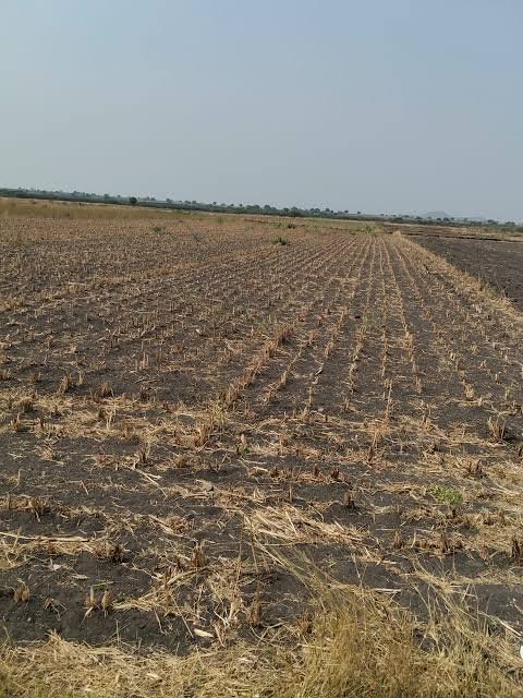 Agriculture Land for Sale in Samatra Bhuj
