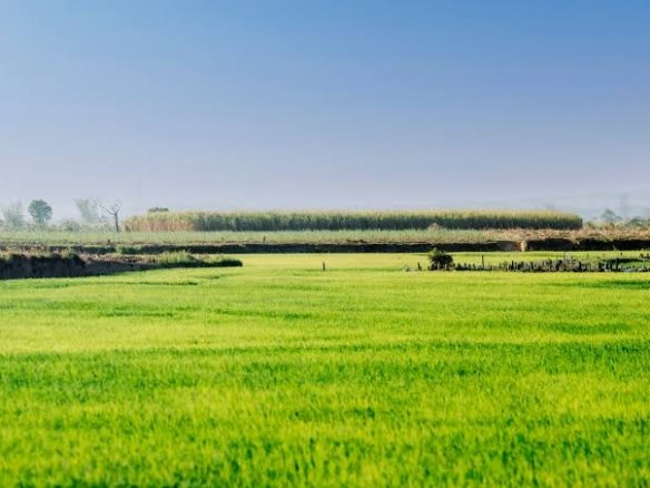Agriculture Land for Sale in Bhuj Taluka