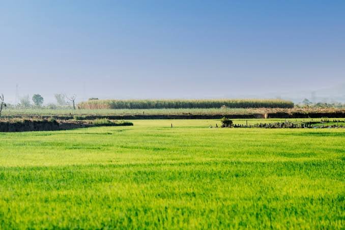 Agriculture Land for Sale in Bhuj Taluka