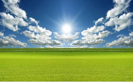 Agriculture Land for sale in Mankuva