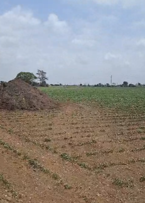 Agriculture Land for Sale in Mankuva
