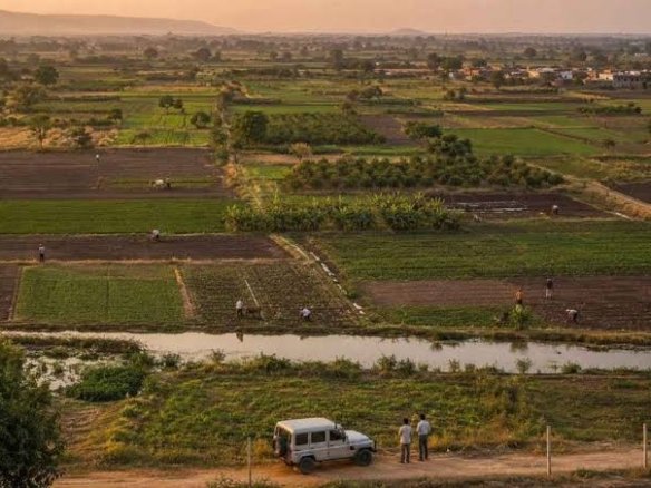 Agriculture Land for Sale in Mau Nani Mandvi