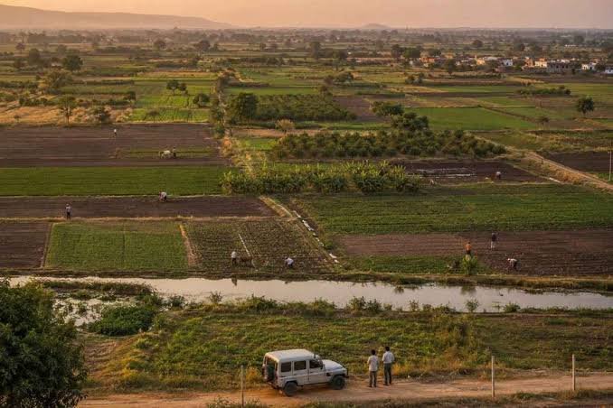 Agriculture Land for Sale in Mau Nani Mandvi